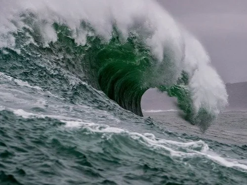 Riding the Oral GLP-1 Wave