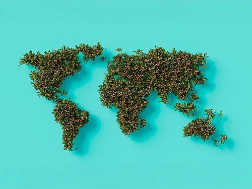Committing to a Sustainable Future in Biomanufacturing