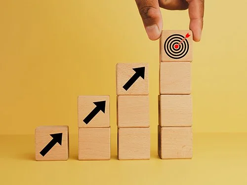 De-Risking the CDMO Journey
